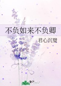 不负如来不负卿