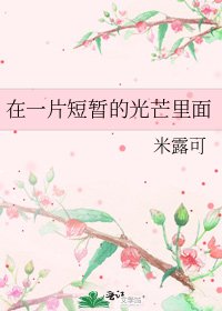 在一片短暂的光芒里面