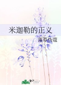 米迦勒的正义