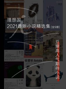 理想国2021最新小说精选集(出版书)
