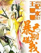 穿越王妃之暴君别惹我