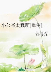 小公爺太蠢萌[重生]