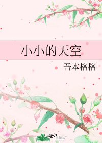 小小的天空