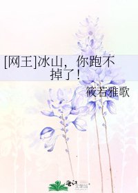 [网王]冰山，你跑不掉了！